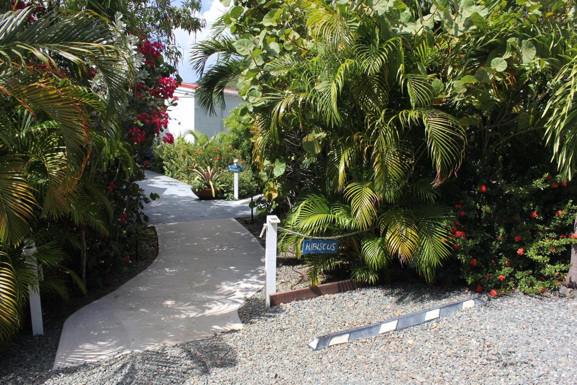 Hibiscus Suite at Sunset Serenade Cruz Bay Exterior foto